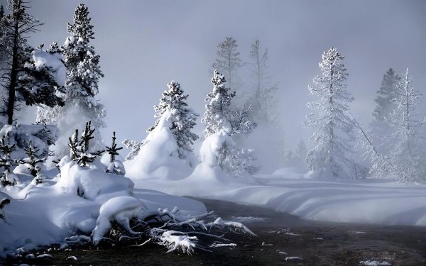River-winter-snow-trees