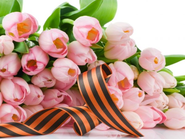 prazdnikidenpobedilentaityulpani51637807