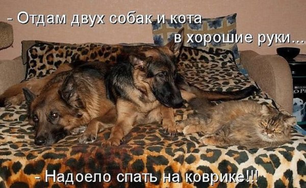 Да!!!