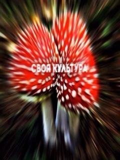 4xTkw9-0XyE