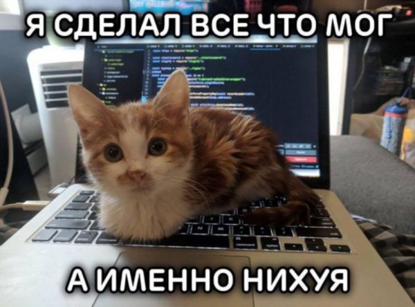 picture_400889551