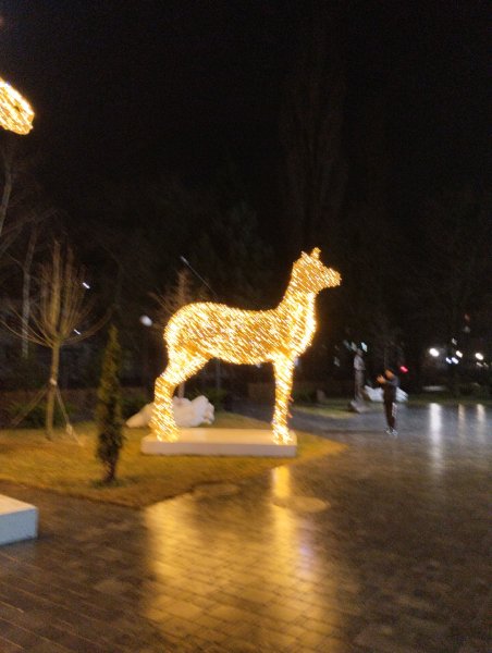 IMG 20221217 191035