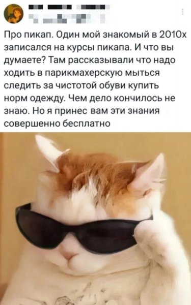 Pozitivom-luchshie-memy-i-kommentarii-iz-seti-uzhe-zdes-51