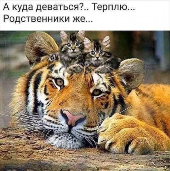 IMG 20200413 123347