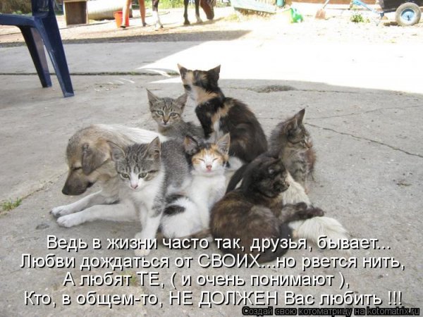 Часто так...