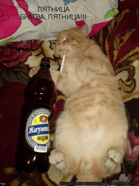 Пятница!!!