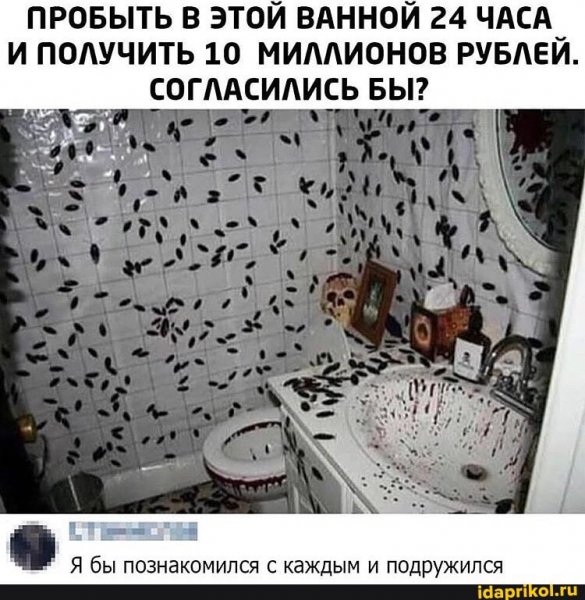 12d8d866b5052d90b8d2d1983573f1b87fc63b5eb2af6eeac7a49de1d8d83