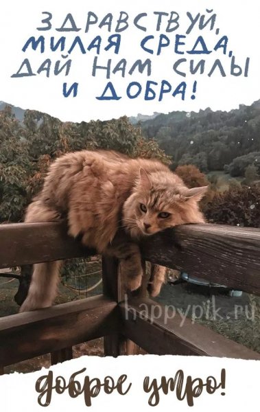 Доброе утро!