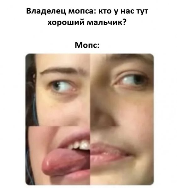 -chem-by-sebja-poradovat-u-nas-est-koe-chto-osobennoe-1