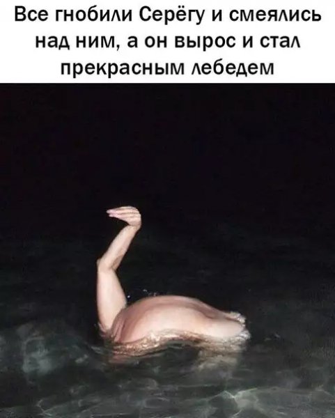 NMVG fsBxsM