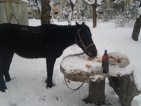 Малыш на снегу пёт