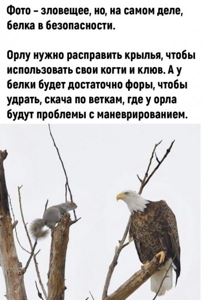 Ecb1b01d4a 20500840