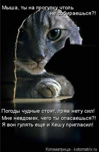 И Кешу пригласил!