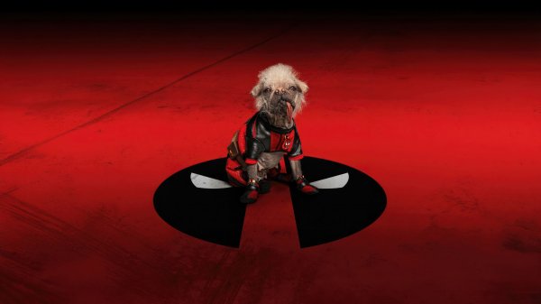 Dogpool-deadpool-and-wolverine-movie-4k 347@2@a