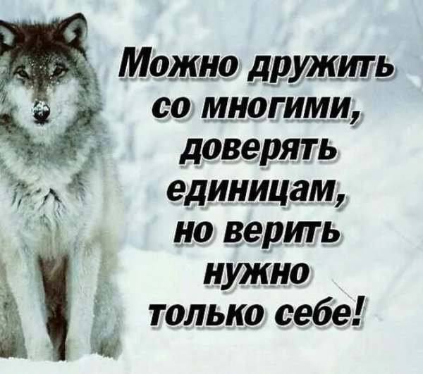 Верные слова!