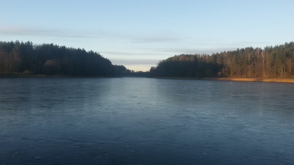 picture_286797929