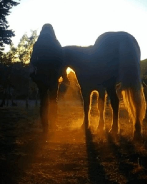 picture_311659960