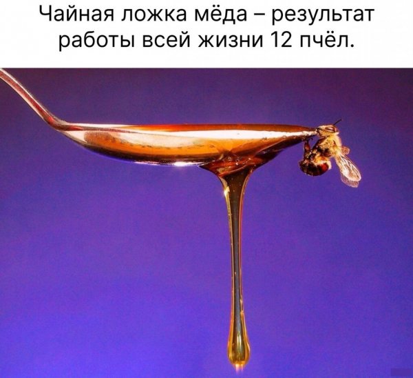 V9CYMWjzzQU
