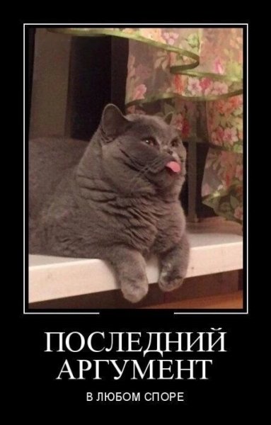 YoOuPmdm1