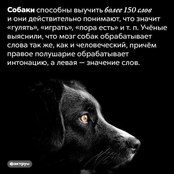 Интересный факт