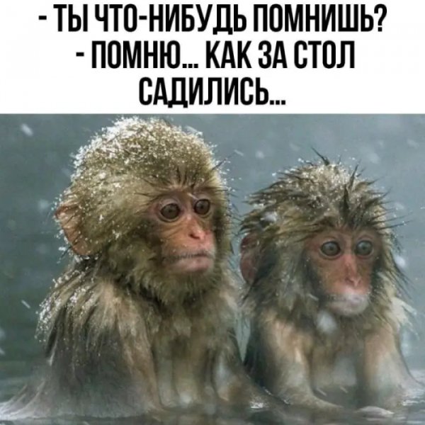 Jumor-ne-dlja-vseh-16