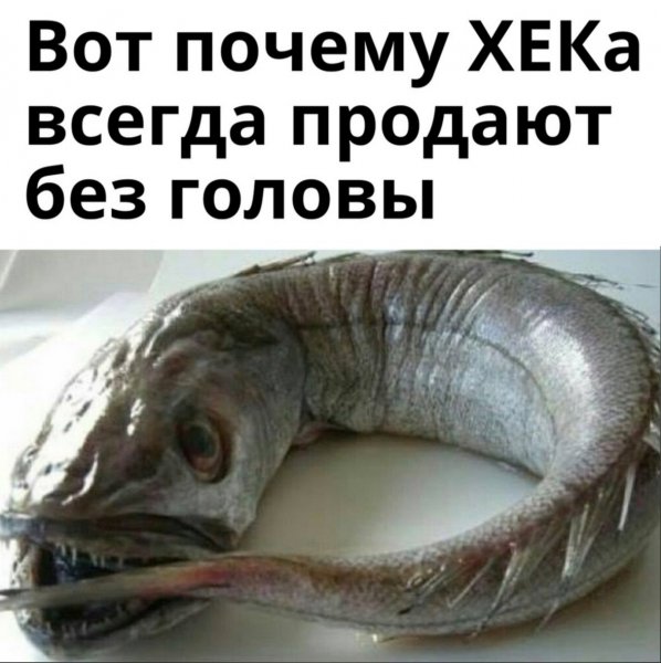 PTujJFs9ht8
