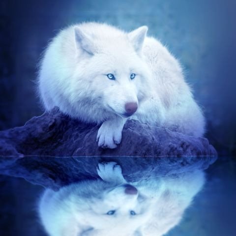 getImage (6)