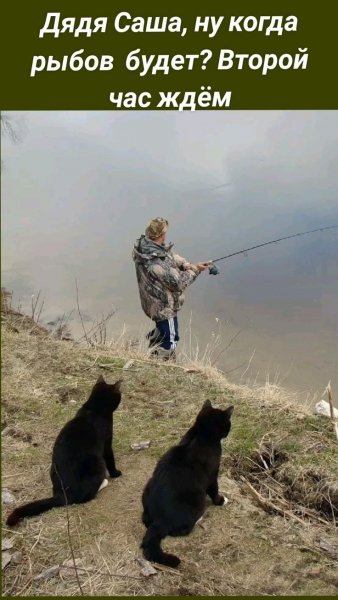 Заждались... ))