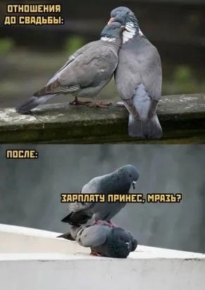 9T0 0d8-mBU3z4ljsZnzhXXlr9O-9hR29G-avKpmElnv-BAPJSxJrwoj