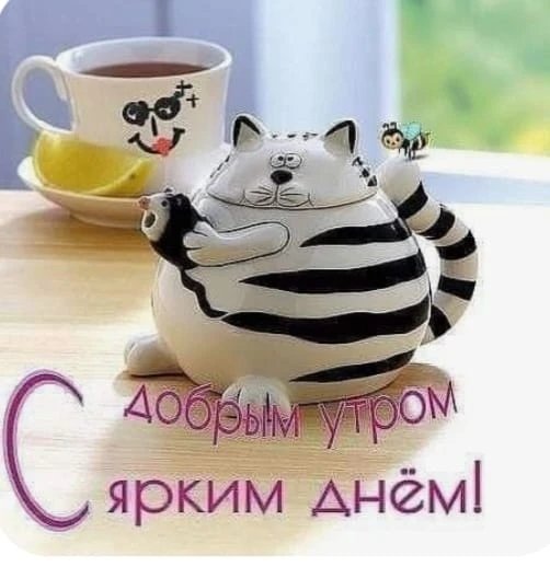 IMG 20260629 092924 516