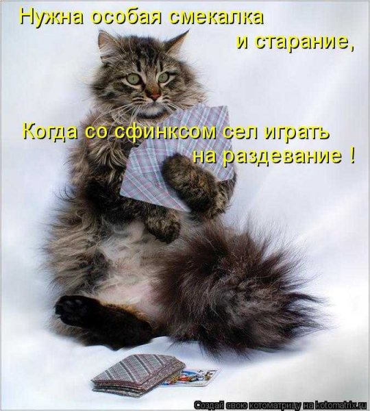 Нужна...