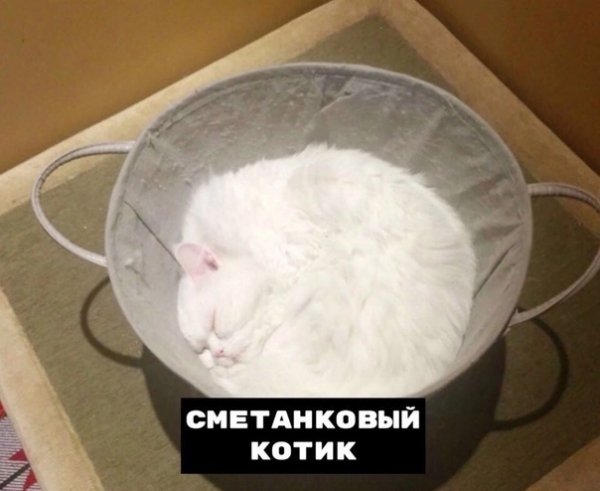 Swzc8T QY5s
