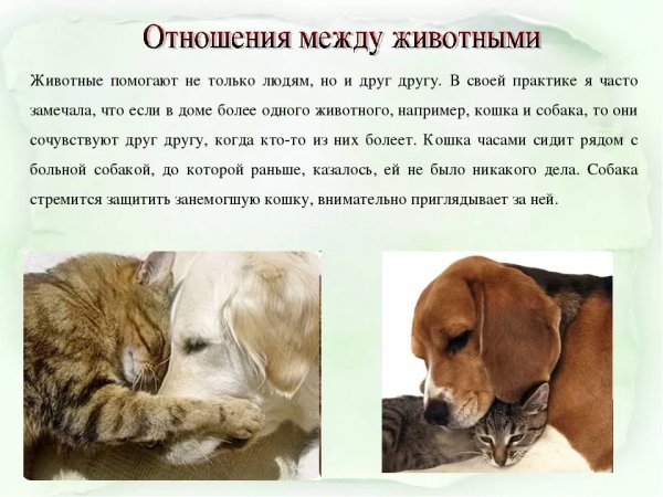 Отношения...
