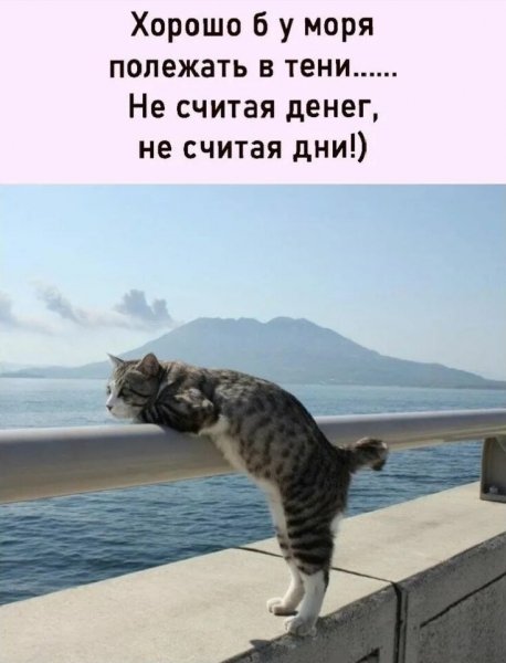 Эх, ма... ))