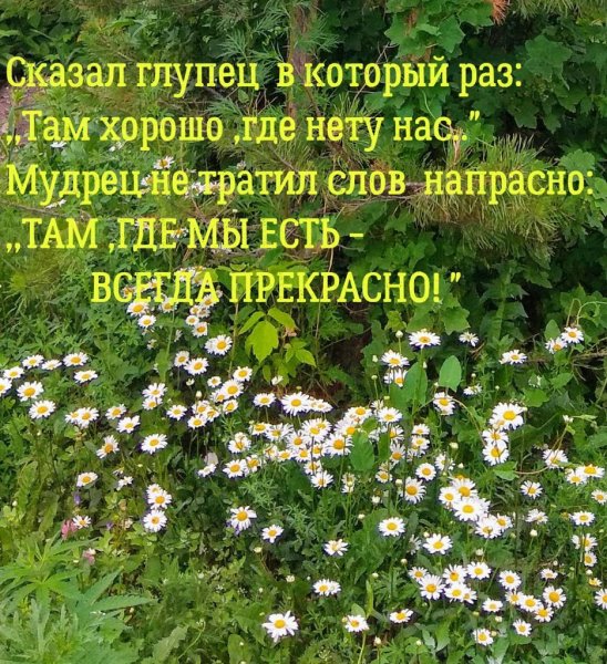IMG-20190711-WA0007