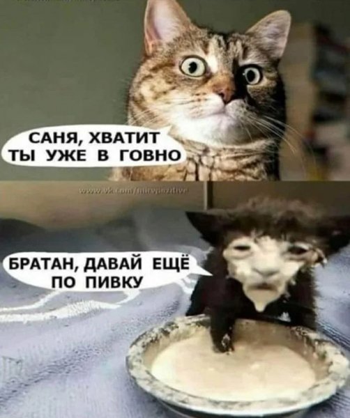 Саня как всегда)