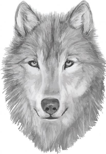 depositphotos 85944014-stock-illustration-wolf-hand-drawn-ill