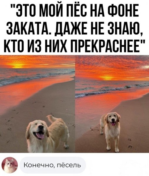 3h9Zqn04C5E