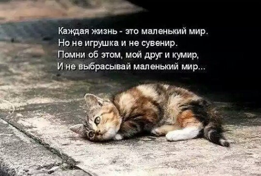 IMG 20160108 225205