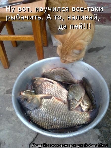 Наливай, да пей!!!