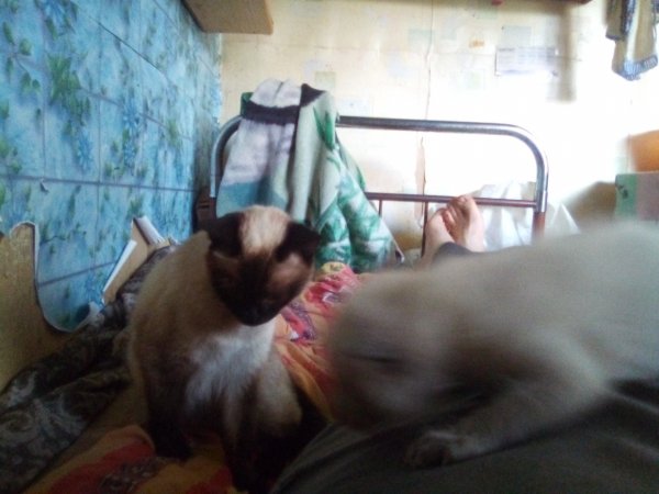 IMG 20220810 193842
