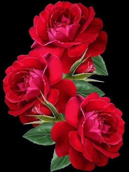 FB IMG 1572643936424