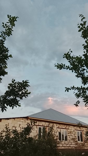 picture_413098469