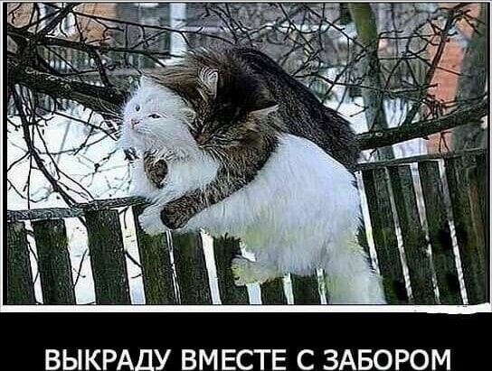 9d6776727b40cd64b