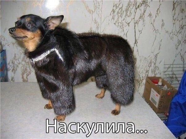 Ля какая