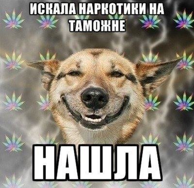 Sgk4VHd6oig