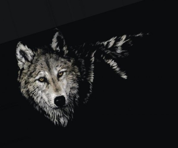 kartinki-volki-art-1