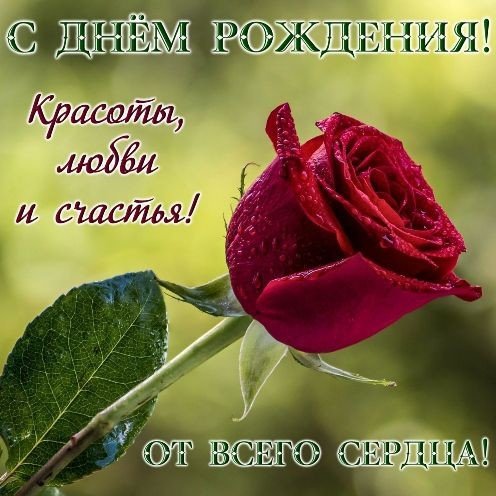 IMG-5437235814a11d2dbfb695d76a4643b2-V
