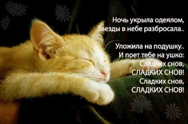 Ночь...