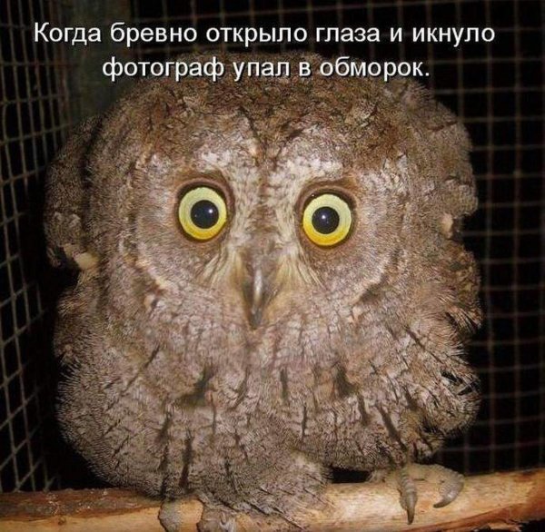 Упал в обморок